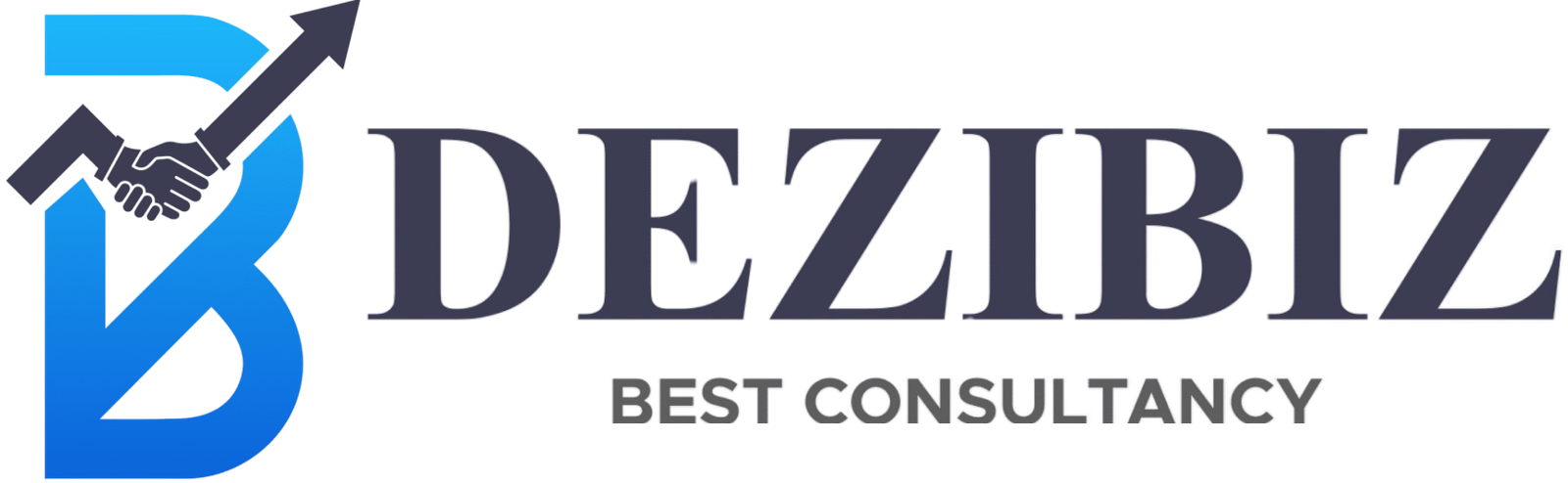 DeziBiz Best Consultancy